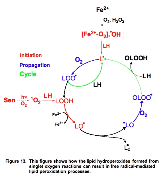 Figure 13