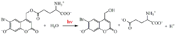 Scheme 19