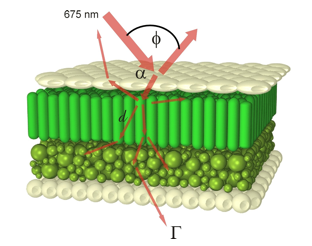 Figure 14