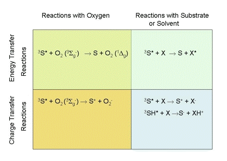 Fig1