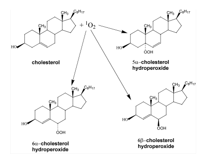 Fig5A