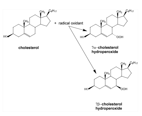 Fig5B