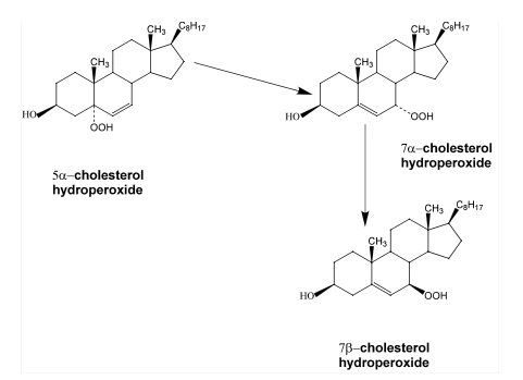 Fig5C