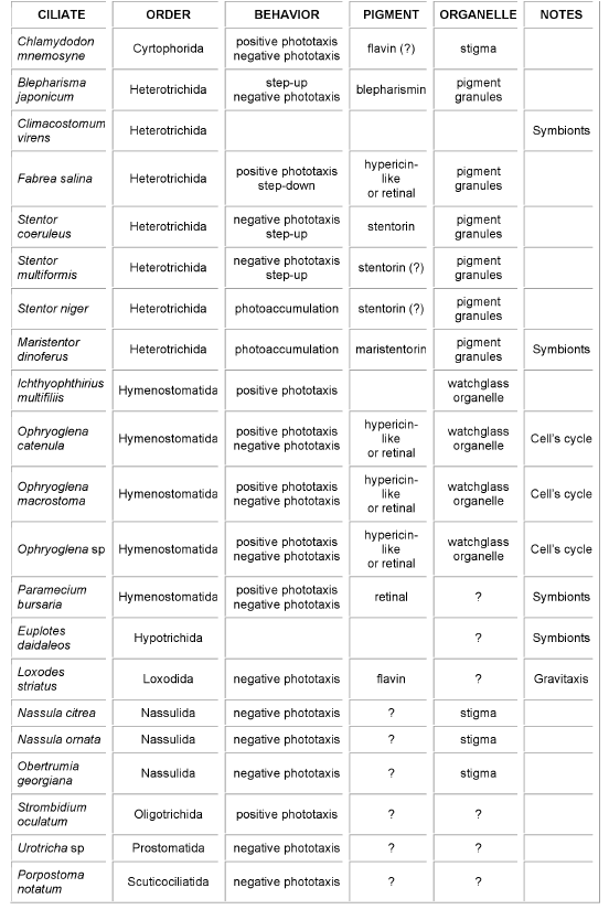 organelle chart