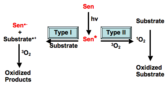 Photosensitization