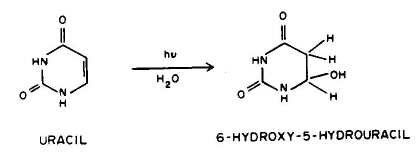 Uracil Hydrate