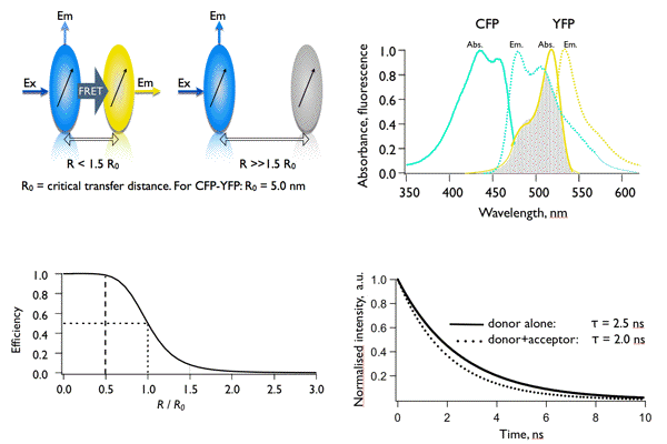 Figure 20