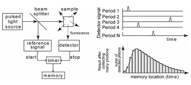 Figure 21