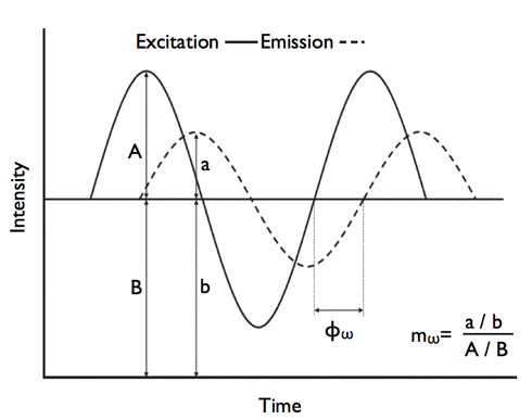 Figure 23