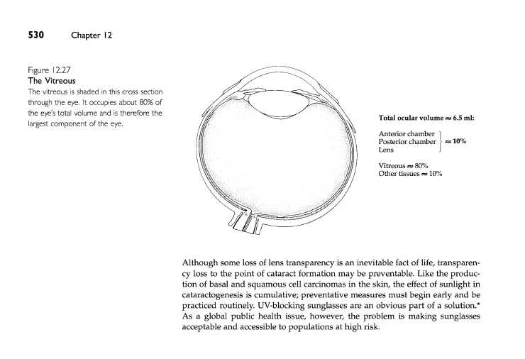 cataracts4.jpg